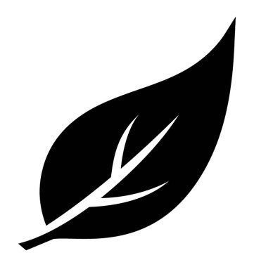 Çok sayıda damarlar ve hackberry yaprak ifade eden desenleri ile bir yaprak 