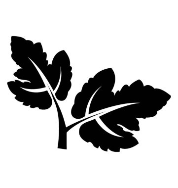 Bir yaprak köşelerinde ve alıç ifade eden damarlar ile 