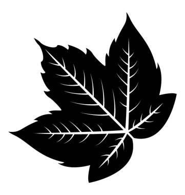 Kenar boşluğu teeths ve üzüm yaprağı anısına damarlar ile çiçek yaprak