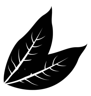 Bir ana damar ve çok sayıda damarlar büyük çıbanlar yaprak simgesini ifade eden yaprak yapısıyla