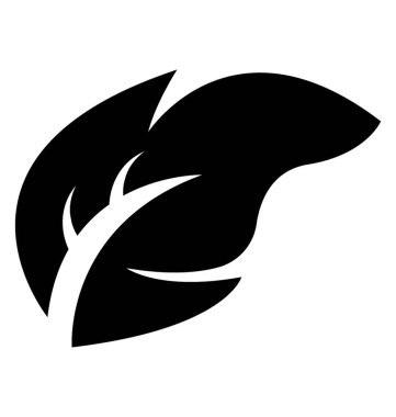 Üç köşe, bir ana damar ve akçaağaç kül yaprak vitrine çok sayıda alt damarlar ile yaprak 