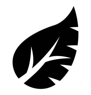 Küçük birlikte ekli yapraklar ve tam bir yaprak bir yapı monstera yaprak için yapar 