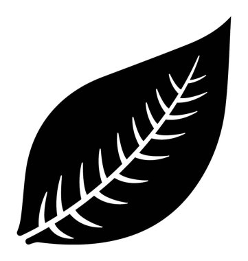 Düzgün kenarlara gibi üçle şekil yaprak damarları ile yapılandırılmış kemikleri balık, bu hevea brasiliensis yaprak 