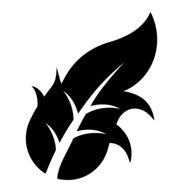 Falcate yaprak ile hafif bazı kenarları yapma karahindiba yaprak şeklinde 