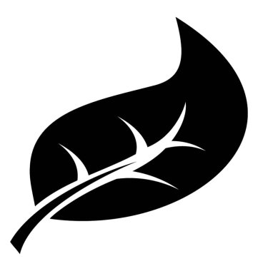 Çok sayıda damarlar ve hackberry yaprak ifade eden desenleri ile bir yaprak 