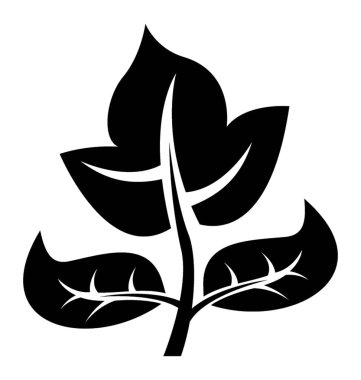 Endişeleri ve bir büyük genel yaprak yapma damarlar ile yapılandırılmış alt yaprakları  