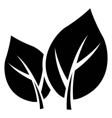 Üçle şekilli üç yaprak ipekotunun yaprağı yapılanma içinde damarlı