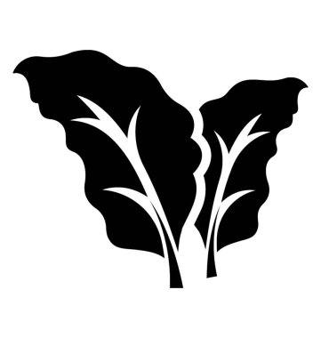 Deltoid bolleana kavak yaprağı simgesi tezahür ortada bir büyük ven ile yaprak şeklinde 