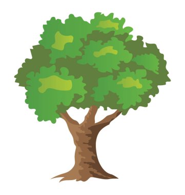 Bir taze meyve ağacı, elma ağacı 