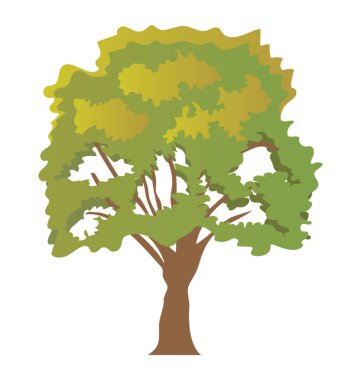 Bir yeşil yeşillik gölgeli ağaç, çınar düz simgesi