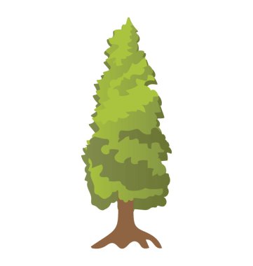 Basit simgesi tasarım karaçam ağacı