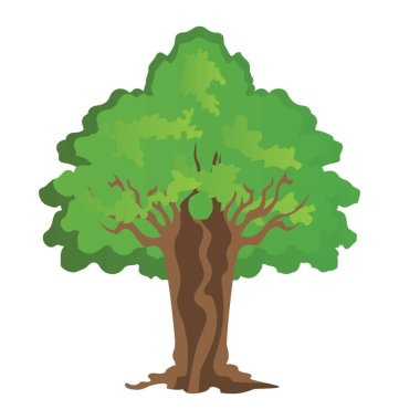 Herdem yeşil bir yaprak döken ağaç, sassafras düz vektör simgesi