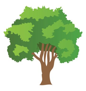 Swallow ağaç olarak da adlandırılan ağlayan söğüt ağacı 