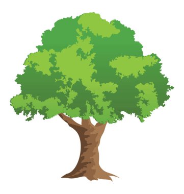 Bonsai dekoratif çam ağacı 