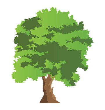 Yarı yaprak döken Karaağaç ağaç düz simgesi