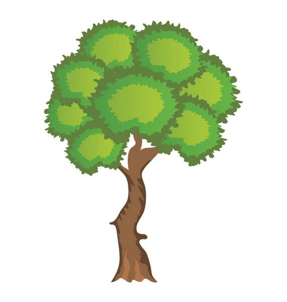 Зеленая Листва Тенистое Дерево Сикомор Плоский Значок — стоковый вектор