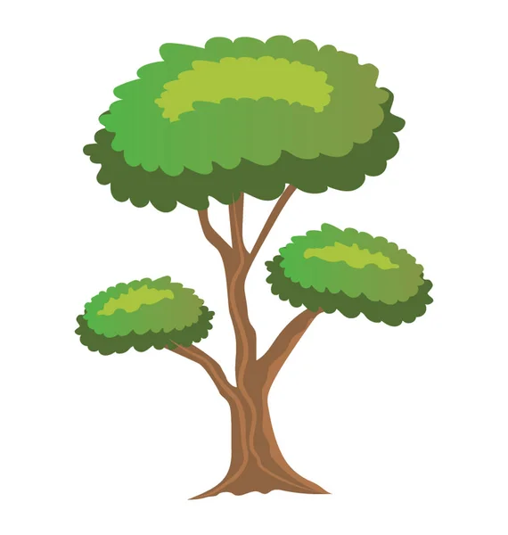 Drzewo Liśćmi Żyłką Struktury Gałęzi Jest Pinus Bonsai — Wektor stockowy