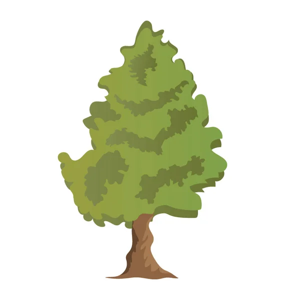 Árvore Folhas Largas Com Crescimento Rápido Ícone Árvore Cedro —  Vetores de Stock
