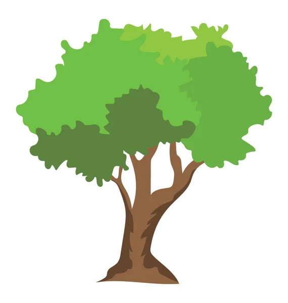 Botanische Moer Boom Walnut Tree Pictogram — Stockvector