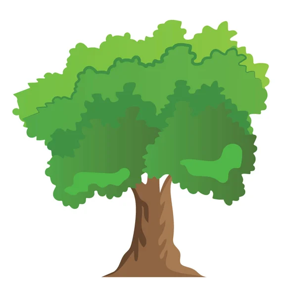 Een Groen Gebladerte Schaduwrijke Boom Sycamore Platte Pictogram — Stockvector