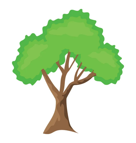 Ένα Θαμνώδες Φυτό Τέξας Δέντρο Ash — Διανυσματικό Αρχείο