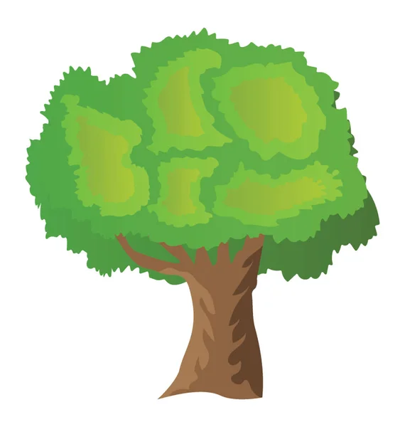 Δέντρο Αειθαλές Όμορφη Linden Επίπεδη Εικονίδιο — Διανυσματικό Αρχείο