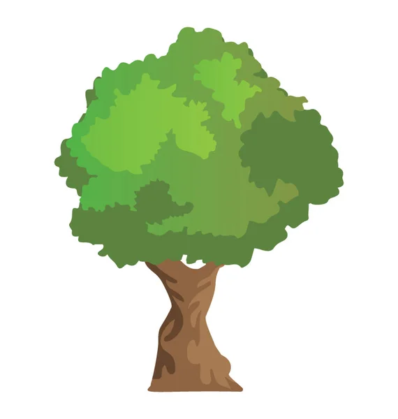 Evergreen Vackra Paperbark Amerikansk Avenbok Tree Flat Ikonen — Stock vektor