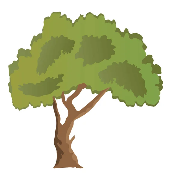 Evergreen Frumos Paperbark Arțar Arțar Pictogramă Plată — Vector de stoc