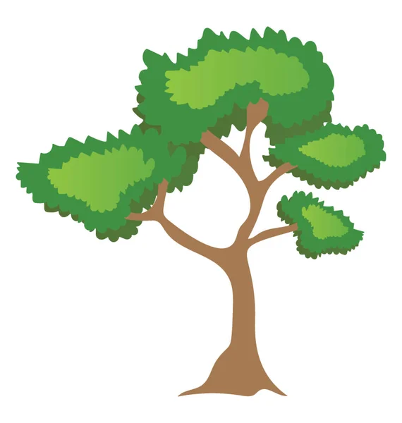 Obecný Strom Hořké Matice Hickory Tree Plochý Ikonu — Stockový vektor