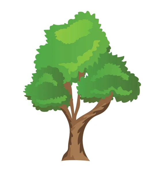 Ένα Εικονίδιο Άσπρη Καρυδιά Δέντρο Φυλλοβόλο Πικρή Καρύδι — Διανυσματικό Αρχείο