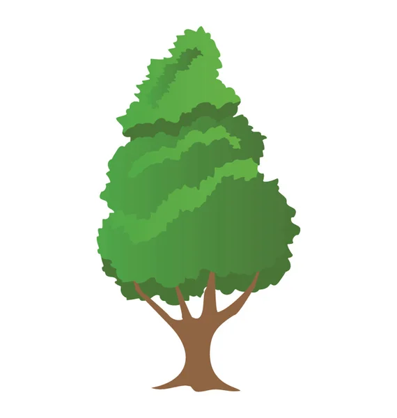 Árbol Nuez Botánica Icono Árbol Nuez — Vector de stock