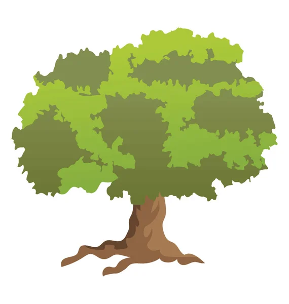 新鮮なシュガーメープルの木 — ストックベクタ