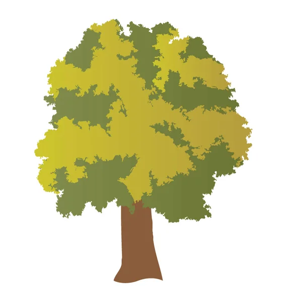 Słoneczne Drzewo Lipowe Lub Bezwonne — Wektor stockowy