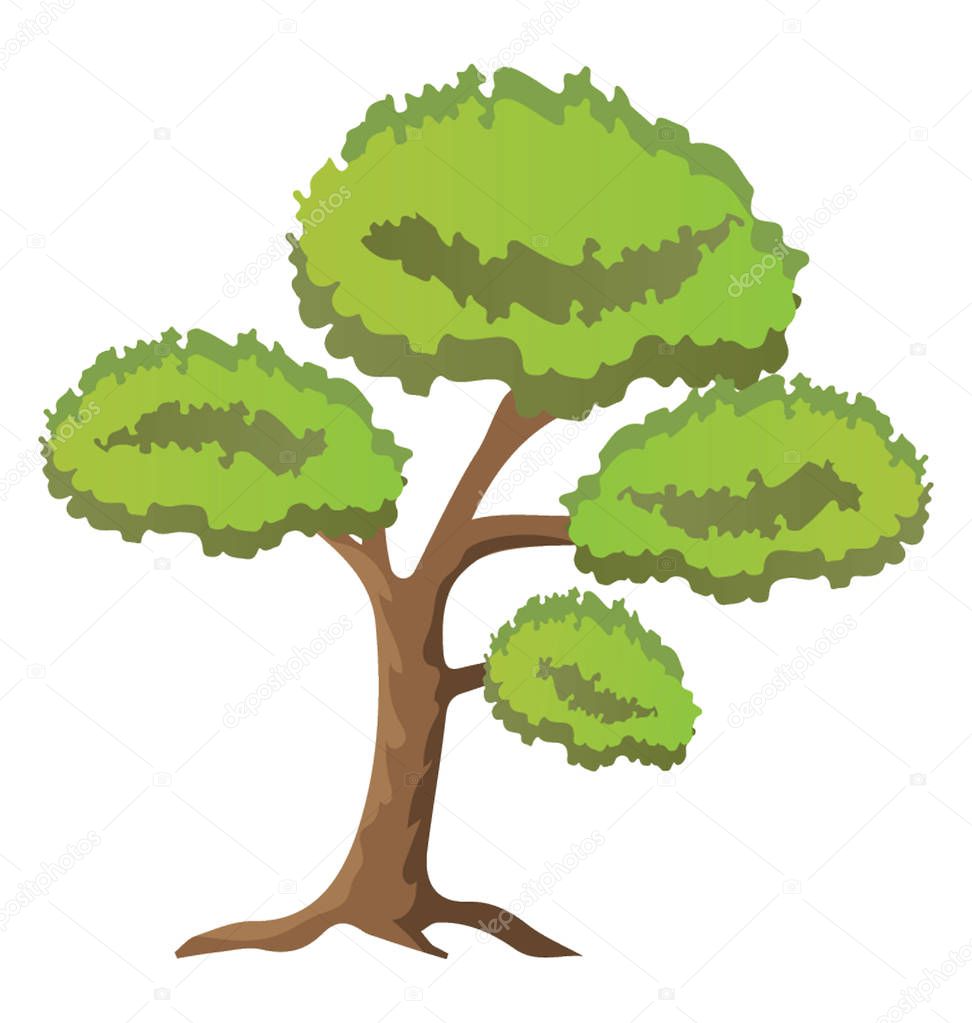 Scots pine tree, pinus sylvestris flat icon