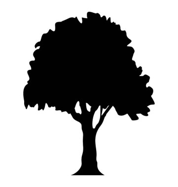 Gür yeşil yapraklar, yaprak döken ağaç ile mükemmel dişbudak