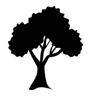 Gür bitki, Teksas dişbudak 