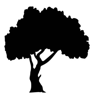 Herdem yeşil güzel paperbark akçaağaç ağaç glif simgesi 