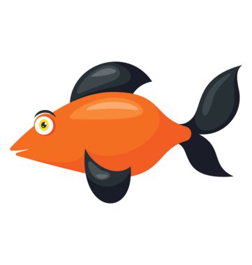 Bir portakal renkli akvaryum pet balık siyah palet ve kuyruk siyah karakterize ile leke goldfish 