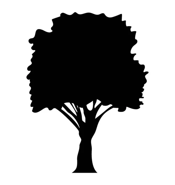 Een Groen Gebladerte Schaduwrijke Boom Sycamore Glyph Pictogram — Stockvector