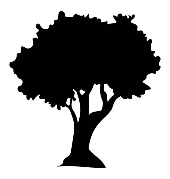 Botanischer Nussbaum Walnussbaum Symbol — Stockvektor