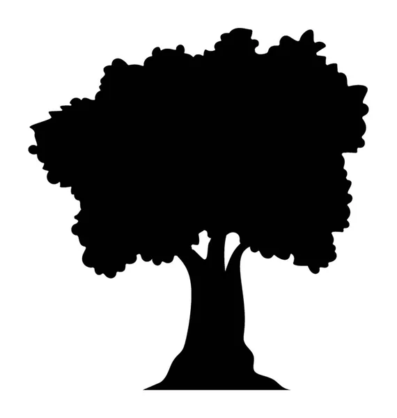 Árbol Sombreado Follaje Verde Icono Del Glifo Del Sicómoro — Vector de stock