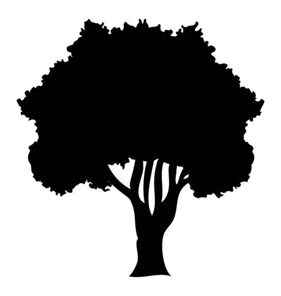 Ιτιά Δέντρο Επίσης Ονομάζεται Δέντρο Χελιδόνι — Διανυσματικό Αρχείο