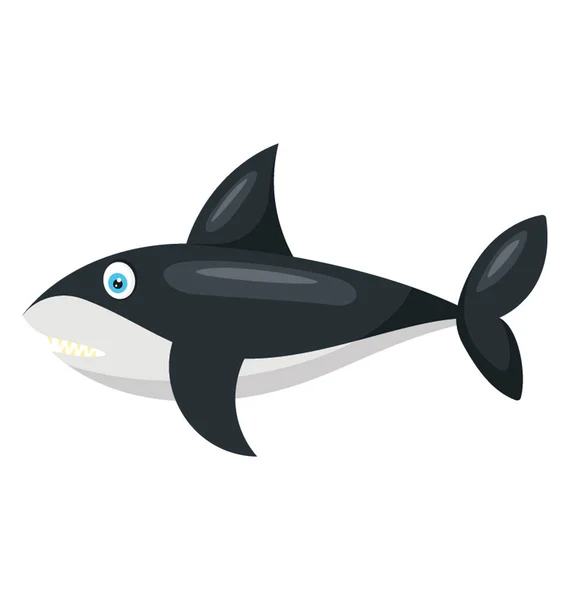 Grand Animal Mer Sauvage Surpondéré Connu Sous Nom Baleine Rorqual — Image vectorielle