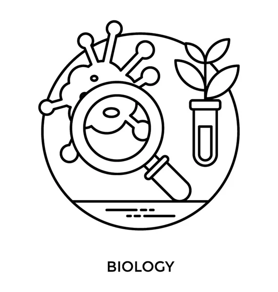 植物叶片内试管与放大镜 植物研究图标向量 — 图库矢量图片