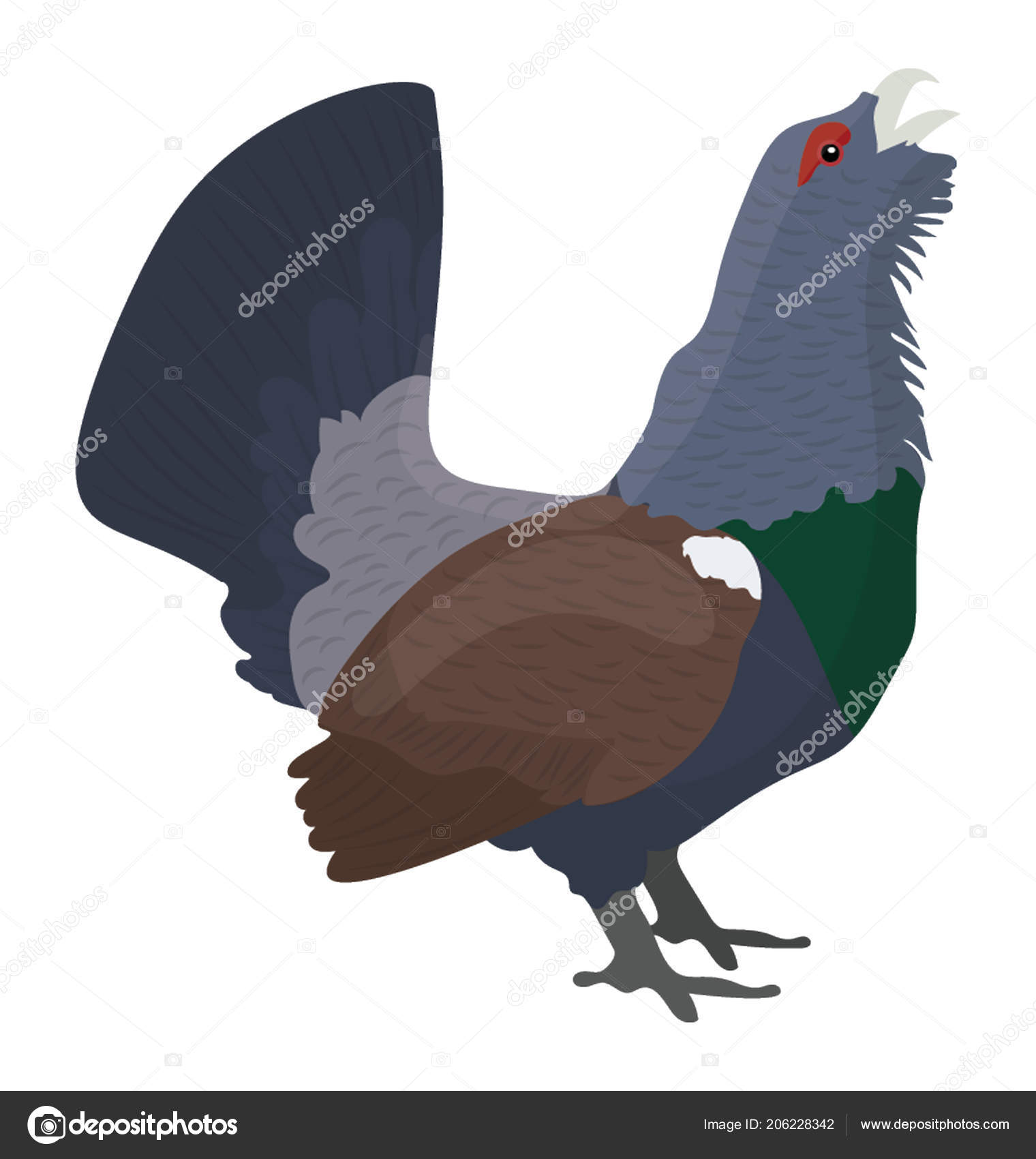 Lourds Plumes Oiseau Couleur Bleue Petits Pieds Occidental