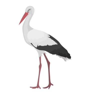 Beyaz bir kuş gagası sivri ve ince bacakları, vinç ile 