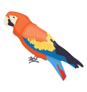 Bir Gaga resmeden ile güzel ve renkli kuş kırmızı Amerika papağanı 