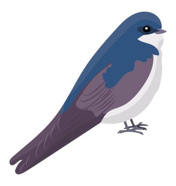 Mavi renk kuş multi renk tüyler, mavi kuş ile 