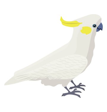Kakadu tasvir eden beyaz renkli kuş gibi küçük bir serçe