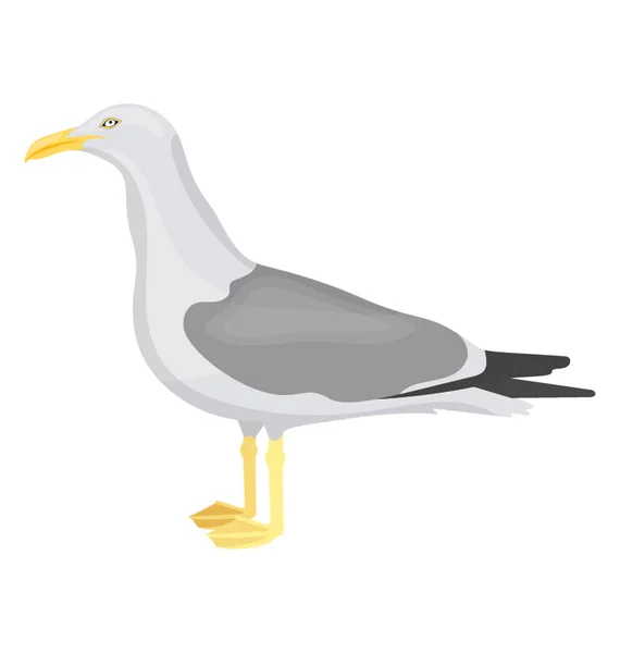 Innocente Uccello Faccia Con Piume Bianche Che Rappresentano Gabbiano — Vettoriale Stock